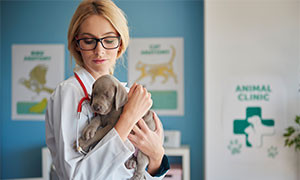 Curare gli animali con i farmaci umani, ora &egrave; possibile