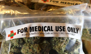 Cannabis gratis a domicilio, l&rsquo;iniziativa si chiama &ldquo;Marijuana di cittadinanza&rdquo;