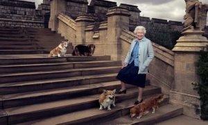 Altro lutto per la Regina Elisabetta, dice addio a uno dei cani corgi