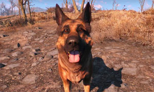 Ci lascia River, il cane che ha ispirato Dogmeat di Fallout 4