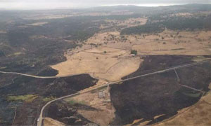 Incendi in Sardegna: Si mette in moto la macchina della solidariet&agrave;