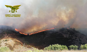 Asel Sardegna a servizio dei Comuni sardi emergenza incendi