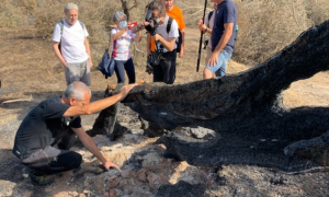 &quot;L'ombra del fuoco&quot;: il regista Pau racconta i roghi del Montiferru in un documentario