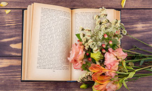Ottobre e Libri: i consigli su Radio Sintony