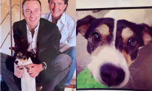 &Egrave; morto Ardi, l&rsquo;amato cane di Facchinetti