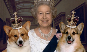 Un altro stop per la Regina Elisabetta: dovr&agrave; rinunciare alle amate passeggiate con i cani