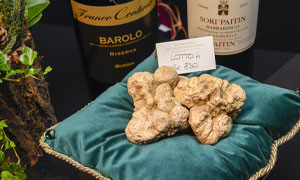 All'asta mondiale del tartufo bianco d'Alba il prezzo arriva a 103 mila euro