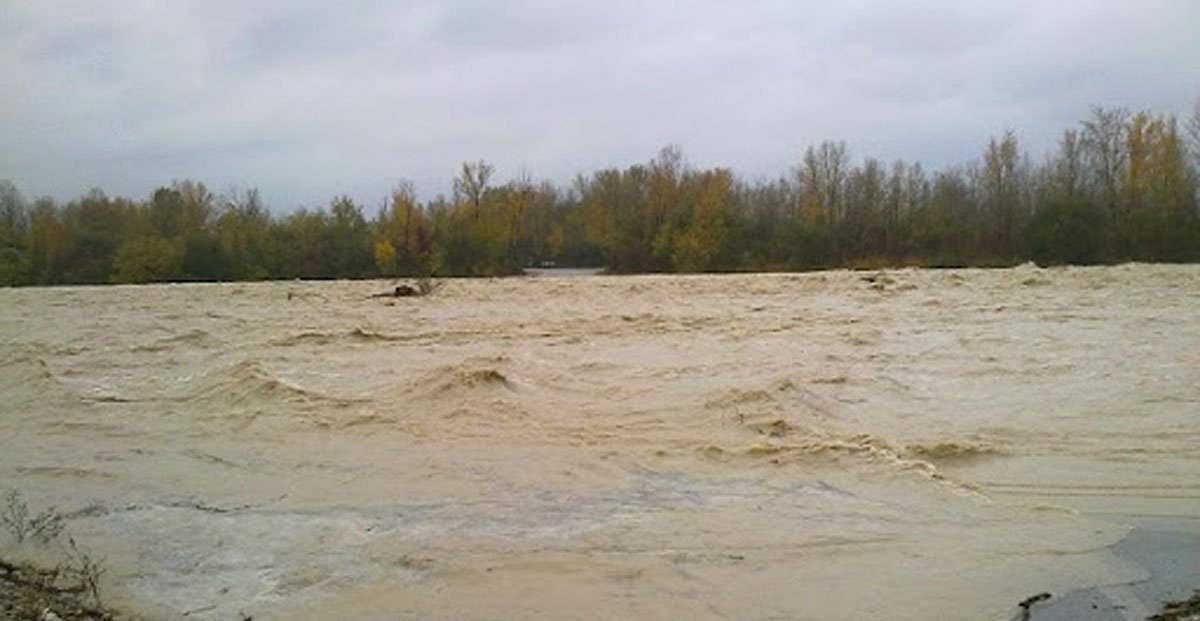 Fuori dal Gregge