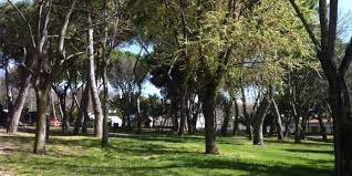 Fuori dal Gregge