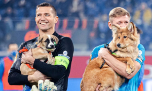 I giocatori dello Zenit scendono in campo con i cani dei rifugi in braccio