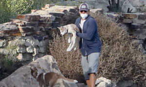 Leo DiCaprio si &egrave; tuffato in un lago ghiacciato per salvare i suoi due Husky