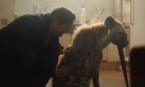 Lo spot delle feste pi&ugrave; amato dagli inglesi, i protagonisti sono una iena e il custode dello zoo