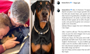 Morto Jake, il cane di Tiziano Ferro: &ldquo;Grazie per questo anno d&rsquo;amore&rdquo;