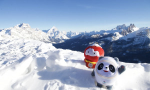 A Pechino va a ruba il panda Bing Dwen Dwen