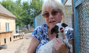 L'appello dell'animalista Tamara Tarnawska: &quot;Non posso pi&ugrave; sfamare i miei mille cani&quot;