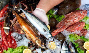 Arriva nelle nostre tavole il pesce coltivato: nuova frontiera dell'alimentazione?