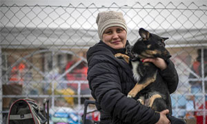Visite gratis dal veterinario per gli animali domestici dei rifugiati ucraini