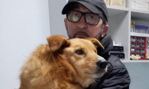 Allarme per l'italiano bloccato a Kiev nel suo rifugio per animali: &quot;Siamo senza acqua n&eacute; cibo&quot;