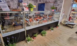 La Coop arriva a Sanluri: il primo punto in Sardegna con i campi da padel