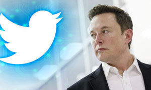 Elon Musk entra nel cda di Twitter