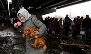 Animali vittime della guerra: bombe anche sugli zoo in Ucraina