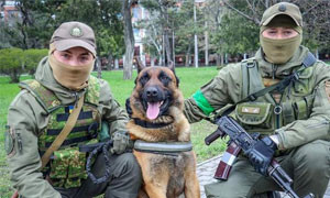 Il cane anti-mine Max: abbandonato dai russi, adottato dagli ucraini