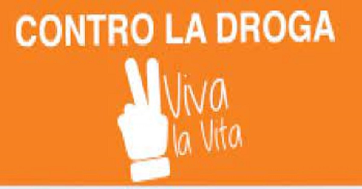 Sintony Groove