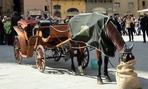 Sorrento: divieto di circolazione per le carrozze trainate dai cavalli nelle ore pi&ugrave; calde