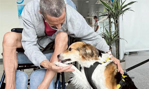 A Biella il nuovo ospedale dove i pazienti possono abbracciare i loro amici animali
