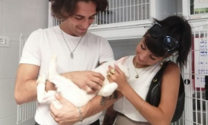 Arriva un gatto maltrattato a casa di Damiano dei M&aring;neskin e di Giorgia Soleri