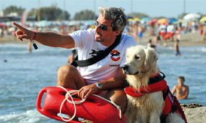 5 bagnanti salvati nel Lazio e in Sicilia dai Cani Eroi