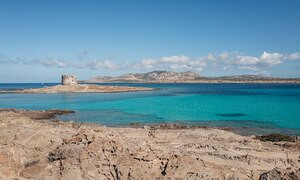 Il Parco dell'Asinara si aggiudica l'Oscar dell'Ecoturismo 2022