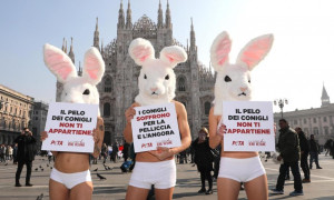 Il brand italiano Parajumpers dice stop alle pellicce animali