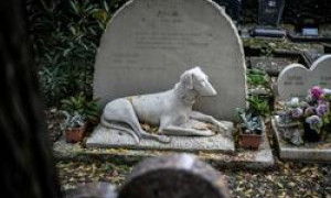 La Regione Lombardia approva la legge sui cimiteri per gli animali da compagnia