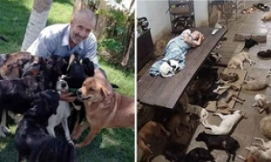 Brasile, vende tutto per salvare i cani randagi
