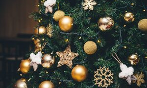 Natale si avvicina: &egrave; meglio l'albero vero o quello finto?