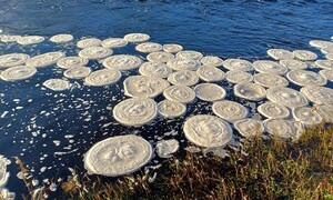 Le strane &ldquo;pizze di ghiaccio&rdquo; apparse in un fiume in Scozia. Ecco cosa sono