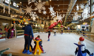 Natale a FICO: pista da pattinaggio e ristorante pi&ugrave; grande d'Italia