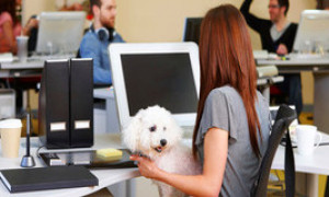 L'iniziativa dell'Universit&agrave; del Salento: animali domestici dei dipendenti nel posto di lavoro