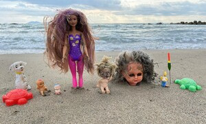 Il Museo del Danno: rifiuti trovati in spiaggia diventano reperti