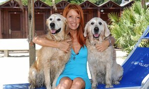 Bonus animali addio, bocciato l&rsquo;emendamento alla Manovra 2023 proposto dalla Brambilla