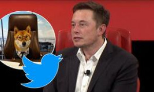 Presentato il nuovo amministratore delegato di Twitter: il mitico Floki