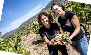 Nina Puddu di Oliena &egrave; la nuova delegata regionale dell'Associazione &quot;Le Donne del Vino