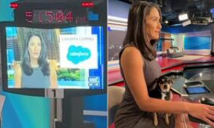 Nuovo stravagante duo per la conduzione del telegiornale: la giornalista e il suo cane