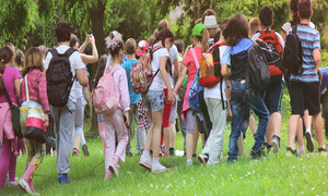 Gite scolastiche troppo care: prezzi aumentati del 20%
