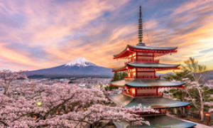In Giappone le strade si colorano di rosa: inizia l&rsquo;Hanami