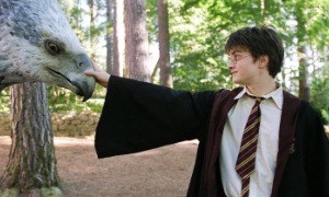 Harry Potter diventa una serie tv