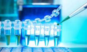 Cancro e malattie cardiache, vaccini entro il 2030? L&rsquo;ottimismo di &lsquo;Moderna&rsquo;