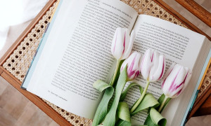 Che mondo sarebbe senza Un Mondo di Libri