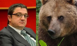 Fugatti contro JJ4: il presidente firma un secondo decreto di abbattimento ma il Tar lo sospende